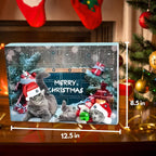 🎄🐾 Cat Advent Calendar 2025 🎁 24 Toys for a Meowy Christmas! ✨