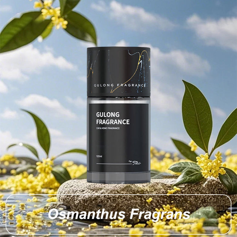 🚗💨 Long-lasting car aromatherapy|Fragrance all the way, full ✨ of atmosphere