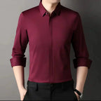 🔥2025 HOT SALE🔥Men's Wrinkle-Free Button-Down Shirt