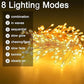 ✨50% OFF EARLY CHRISTMAS SALE🎄 Copper Wire Firecracker Light String – Perfect for Home Holiday Decor🎁