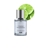 🔥Intelligent Ultrasonic Spray Aromatherapy|5 Levels of Adjustment Automatic Switching 🚗