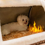 🐱🐶Spacious Insulated Soft and Breathable Cat and Dog House