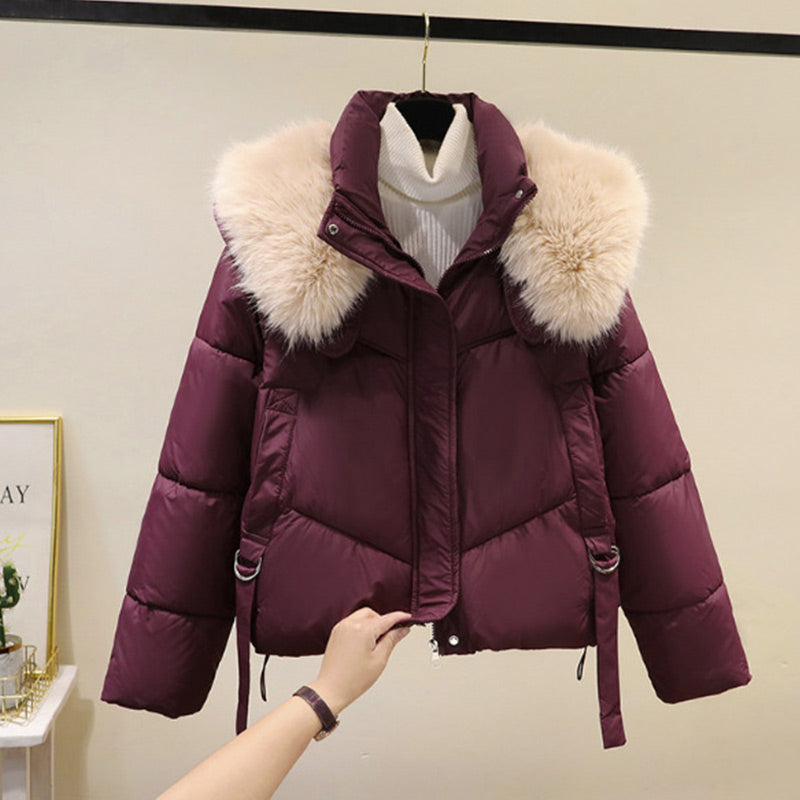 Women's Warm Full-Zip Short Jacket with Puffy Collar