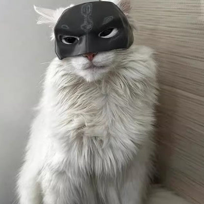 Cat Mask Pet Toy-3D Printing Customized Model