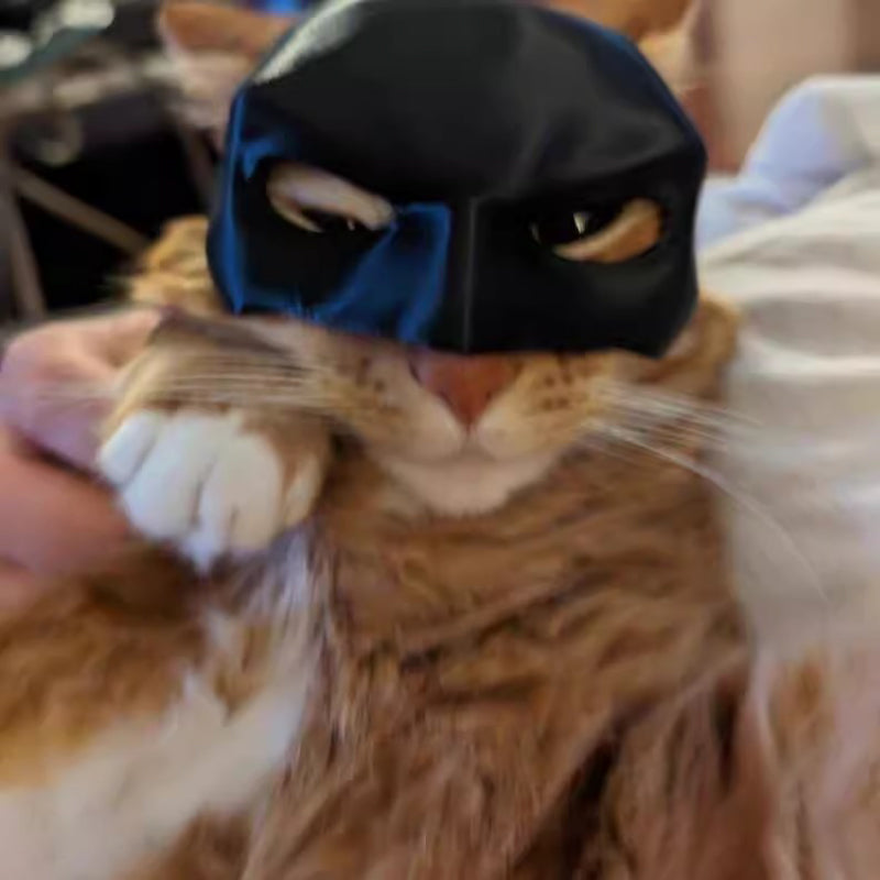 Cat Mask Pet Toy-3D Printing Customized Model