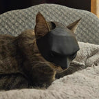 Cat Mask Pet Toy-3D Printing Customized Model