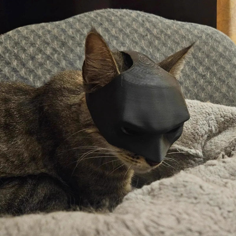 Cat Mask Pet Toy-3D Printing Customized Model