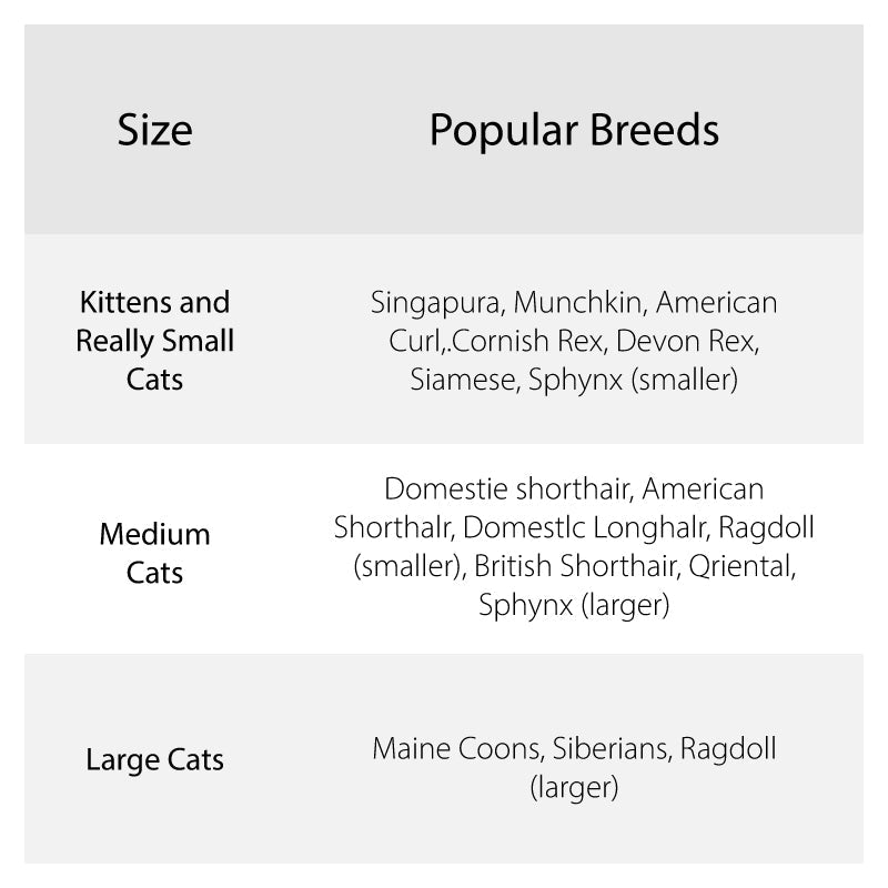 Cat Mask Pet Toy-3D Printing Customized Model