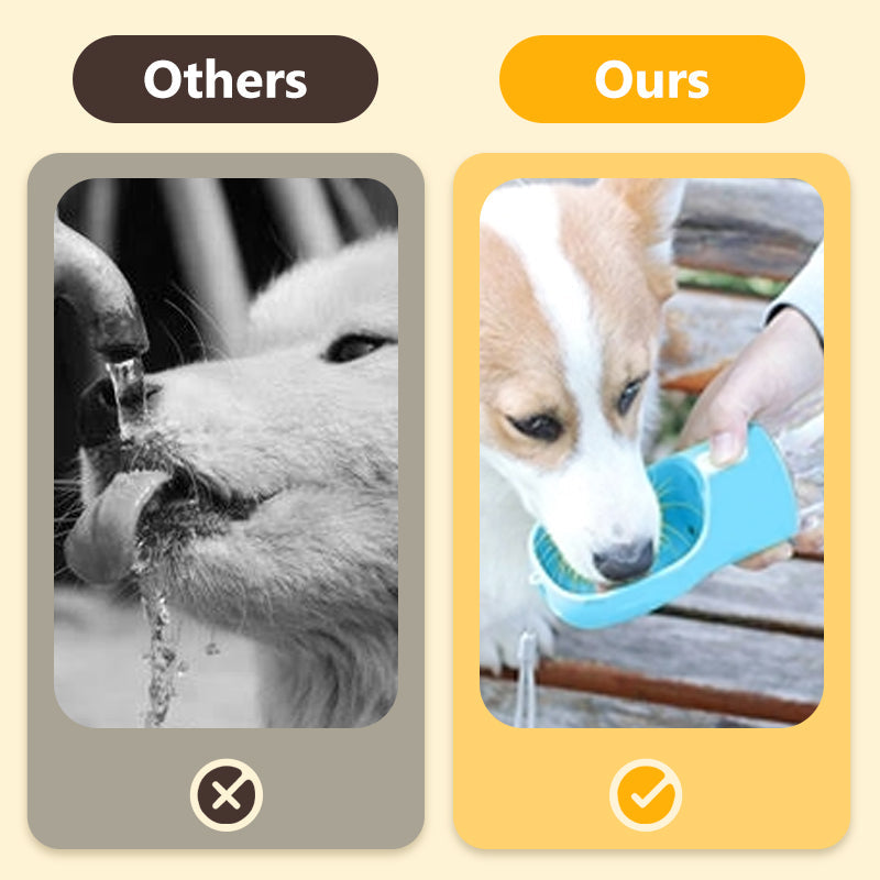 🐶Dog Outdoor Drinking Mug