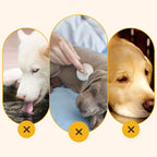 🐶Dog Outdoor Drinking Mug