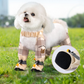 🛡️ Outdoor Dust-Proof Dog Pants – Keep Paws Clean & Fur Tangle-Free | Breathable for Hiking/Walking 🐶