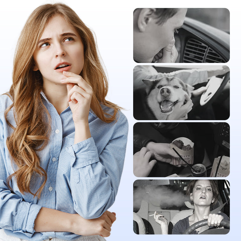 🚗Car Air Freshener Solid Fragrance | Natural Essential Oil Scent, Easy to Install for Car Interiors