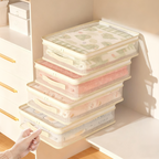 🎁Buy 1 Get 1 Free🔥See-Through Closet Organizer Storage Bags