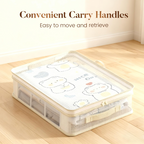 🎁Buy 1 Get 1 Free🔥See-Through Closet Organizer Storage Bags