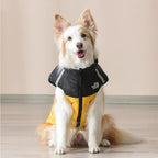 🐶Waterproof Windproof Winter Dog Coat